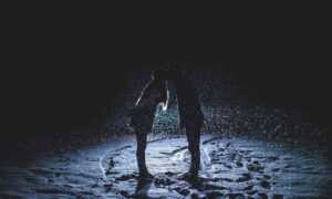 how to run genboostermark python in online