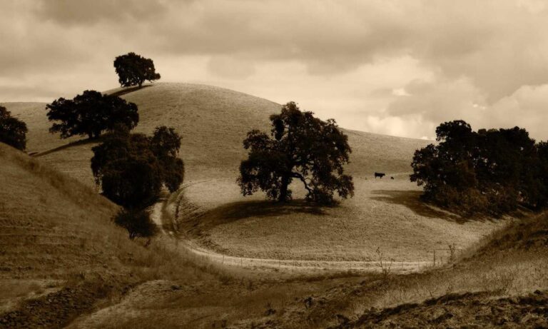 is kuvorie islands dangerous