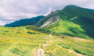 when hondingo88 patches