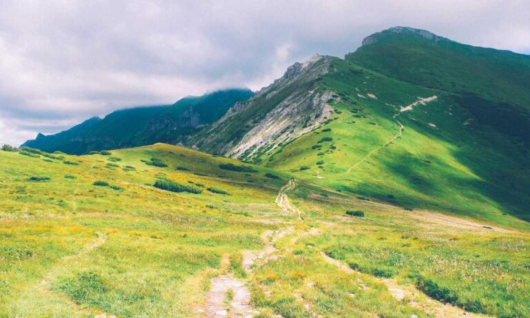 when hondingo88 patches