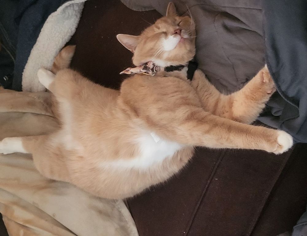 why genrodot is a waste for gaming