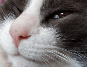 best gaming updates feedgamebuzz