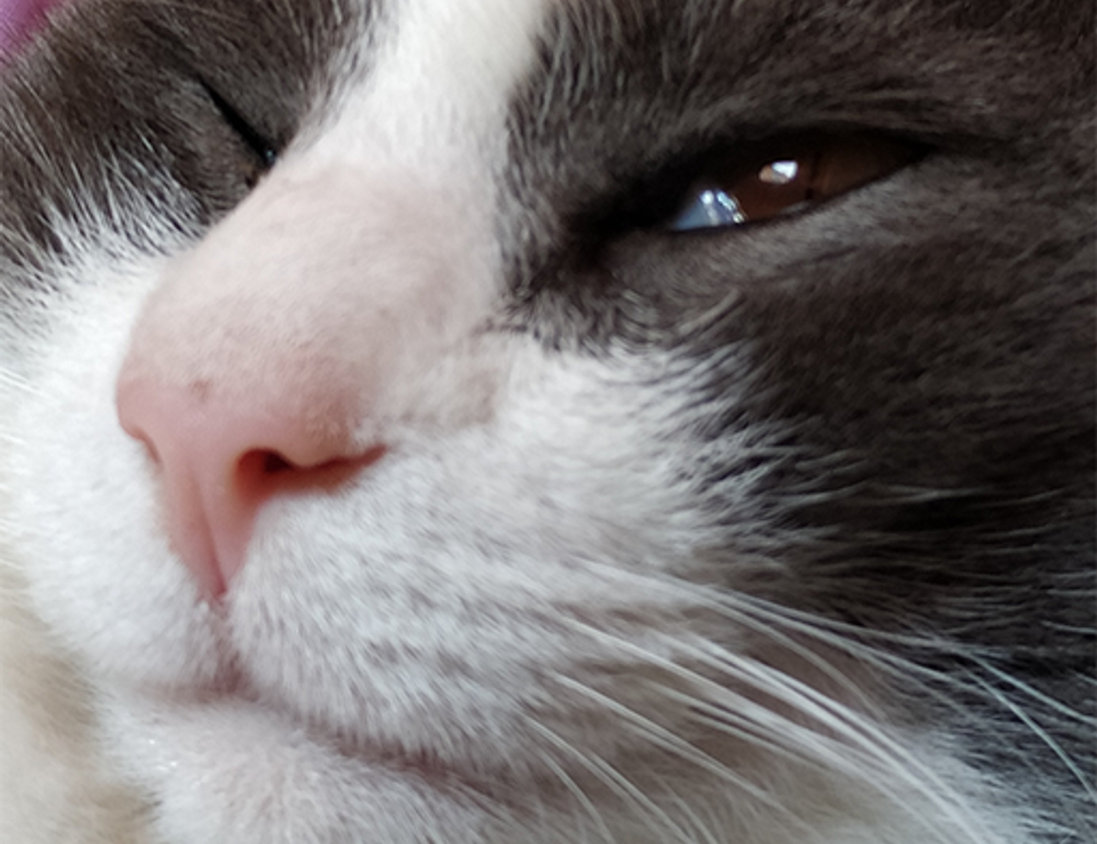 best gaming updates feedgamebuzz