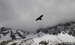 best hacks for gaming by feedgamebuzz