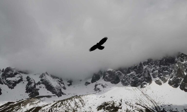 best hacks for gaming by feedgamebuzz