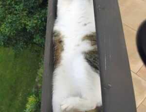 bfncreviews gaming reviews from befitnatic