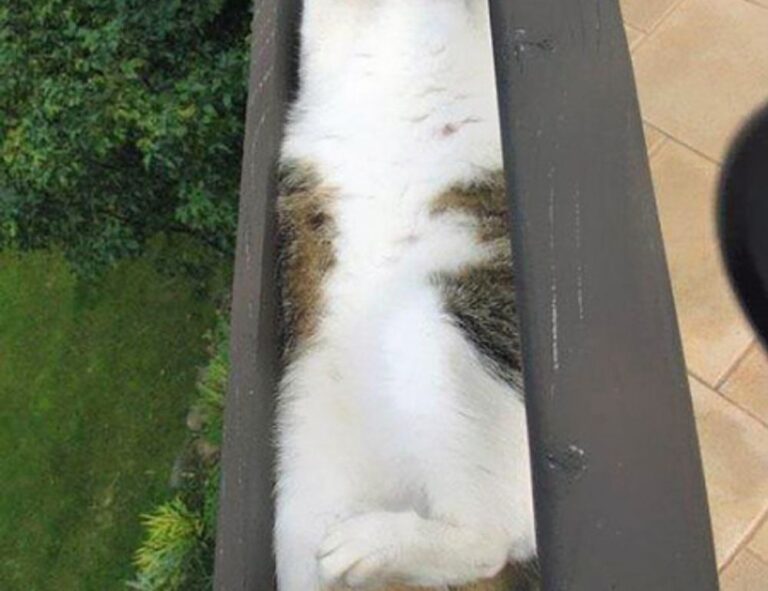 bfncreviews gaming reviews from befitnatic