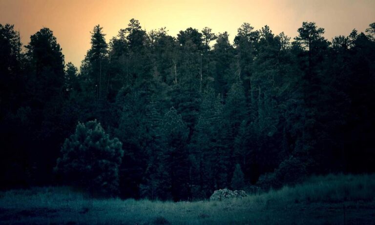 can i play online togamesticky