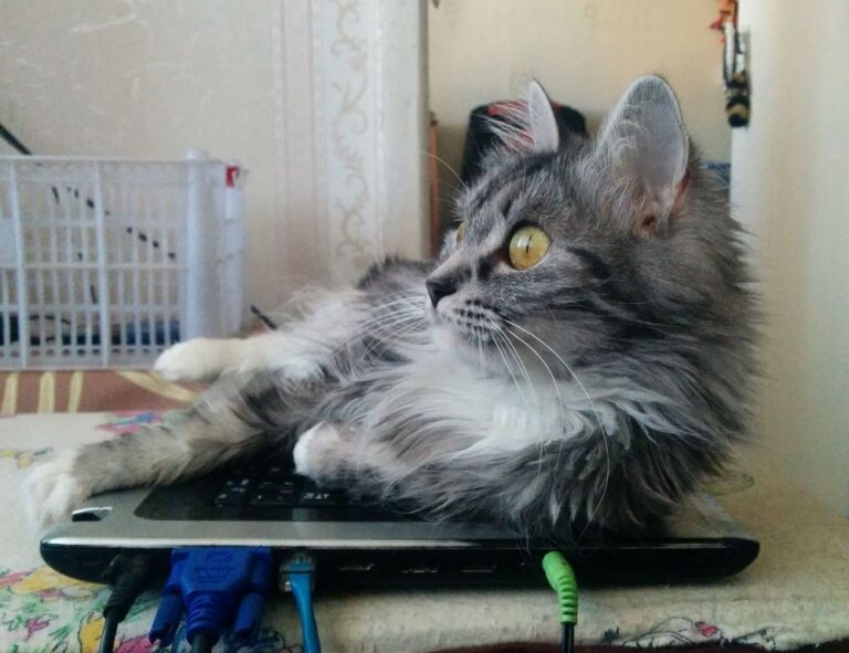 controls hearthssconsole