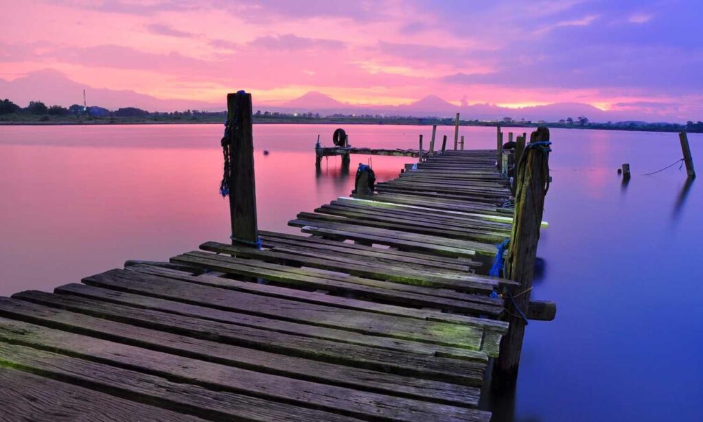 download updates scookiepad