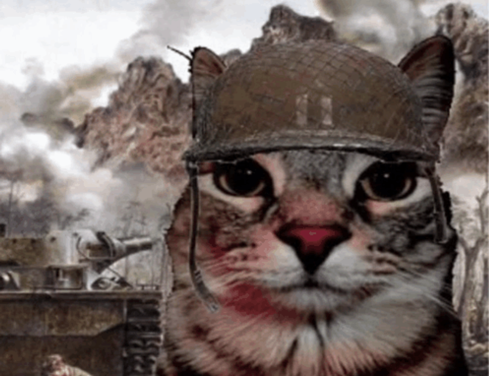 etsjavaapp release date by etruesports