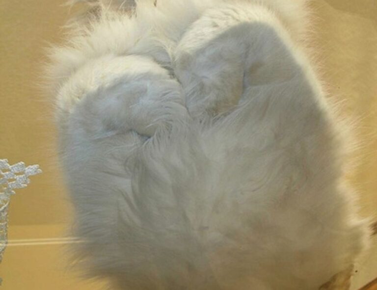 gaming bfnctutorials