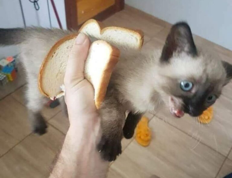 gaming news thehakegeeks