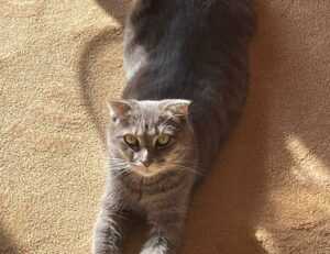 gaming tutorials tgageeks