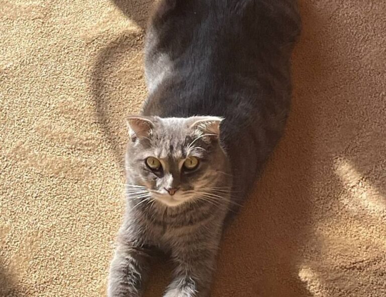 gaming tutorials tgageeks