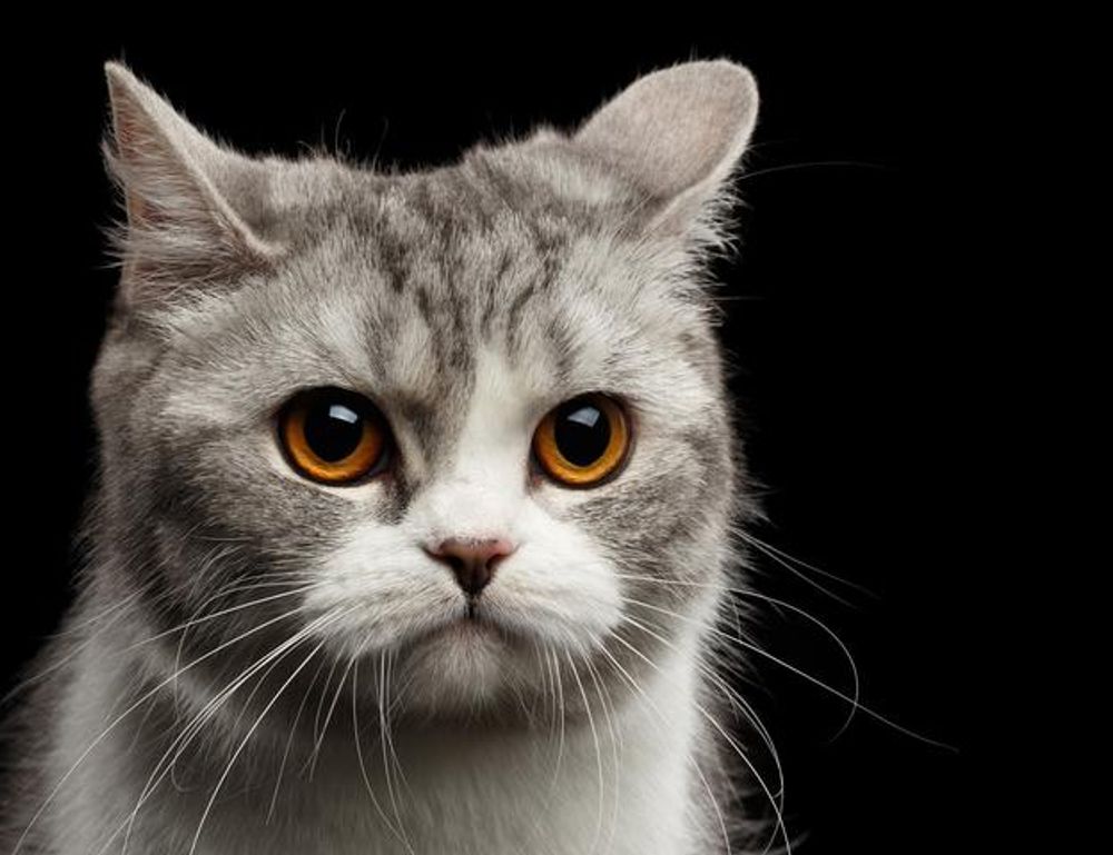 gaming updates tgageeks