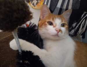 gaming updates thehakegeeks