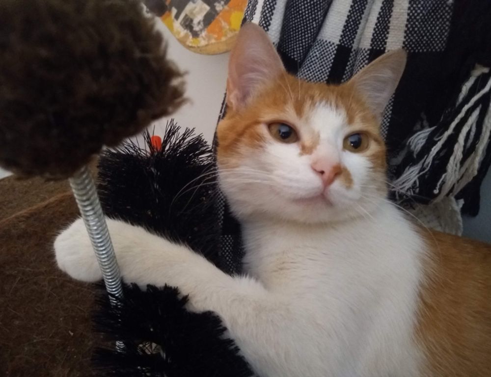 gaming updates thehakegeeks