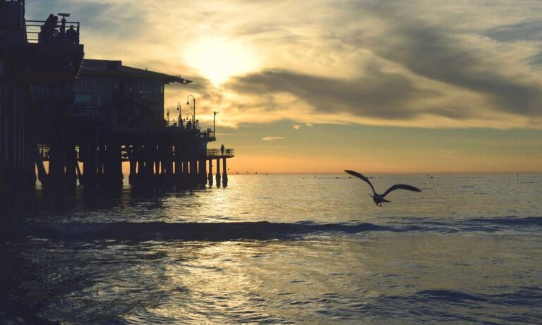 gamrawresports latest gaming hacks by gamerawr