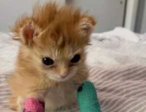 gmrrmulator newest updates by gamerawr