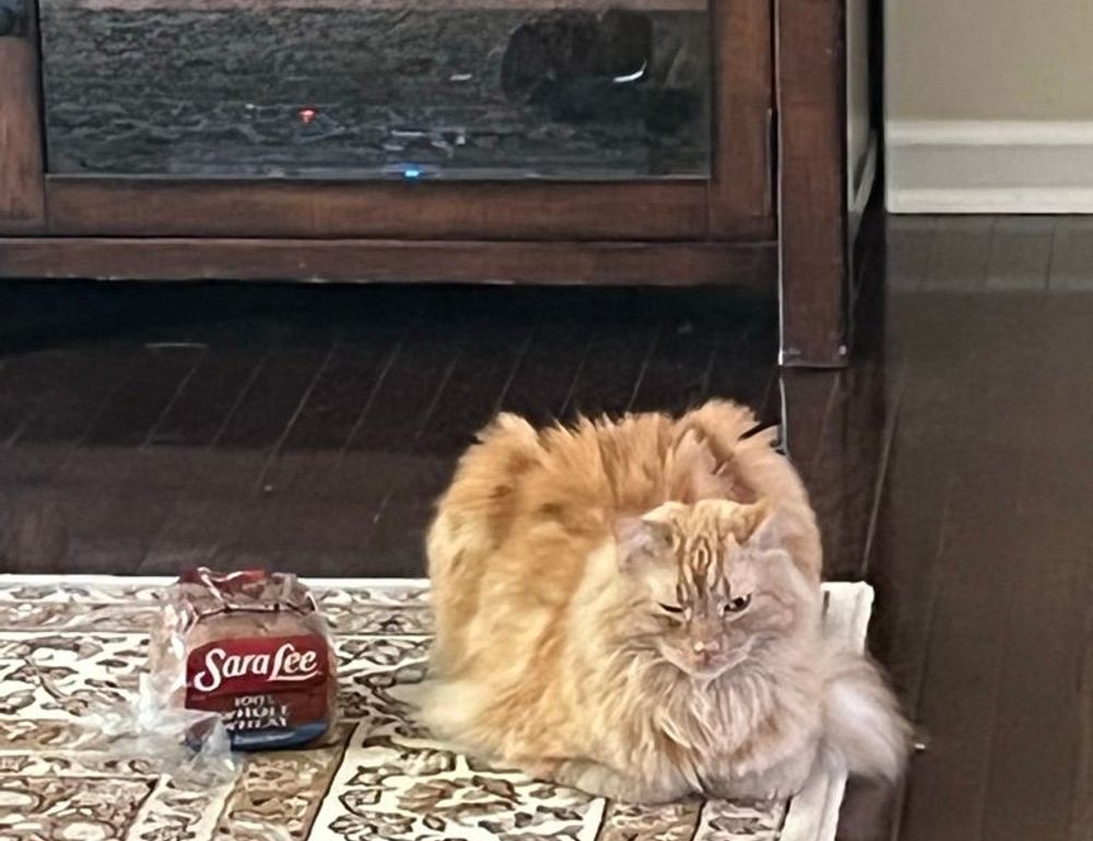 hardware specifications for tgarchiveconsole