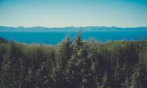 how are hacks made togamesticky