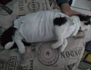 how to manage online reviews bfncreviews