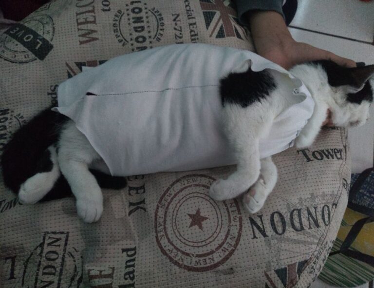 how to manage online reviews bfncreviews