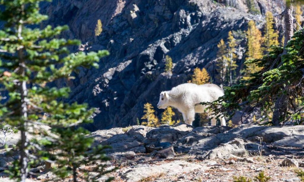 how to play crypto games in 2023 feedgamebuzz