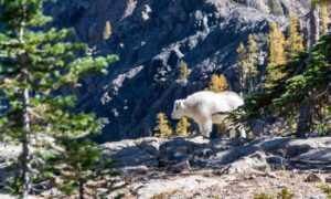 how to play crypto games in 2023 feedgamebuzz