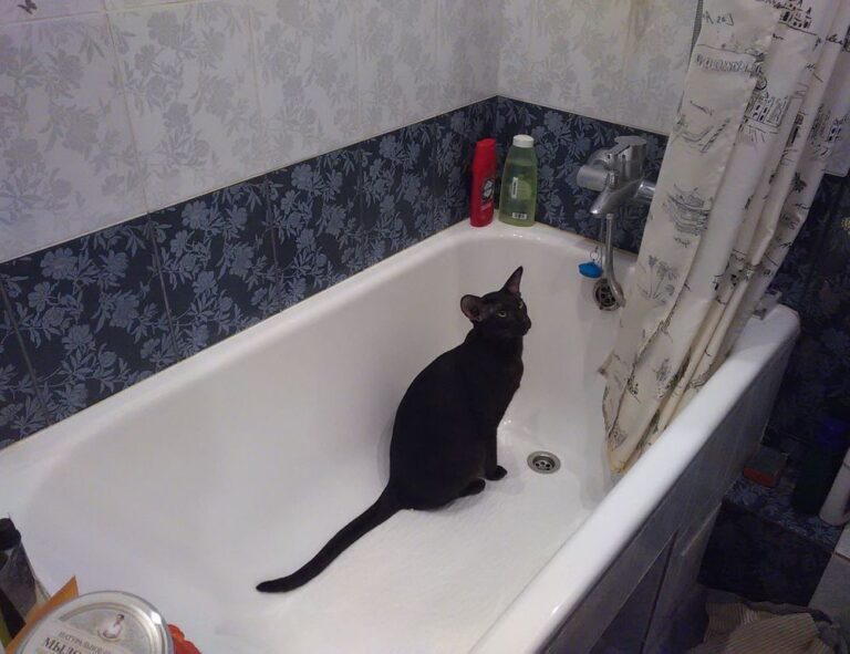 how to set up tgarchiveconsole