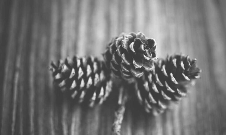 how to update etsjavaapp by etruesports