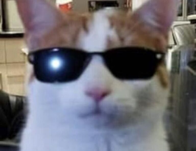 how to update pblemulator