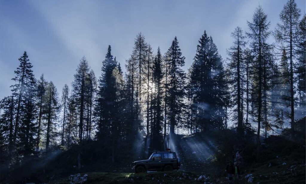 latest gaming trends gmrrmulator