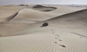 latest gaming updates feedgamebuzz