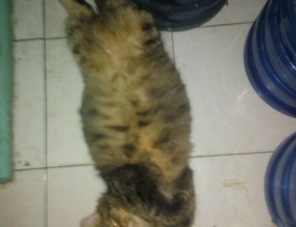 latest tips for gaming by feedgamebuzz