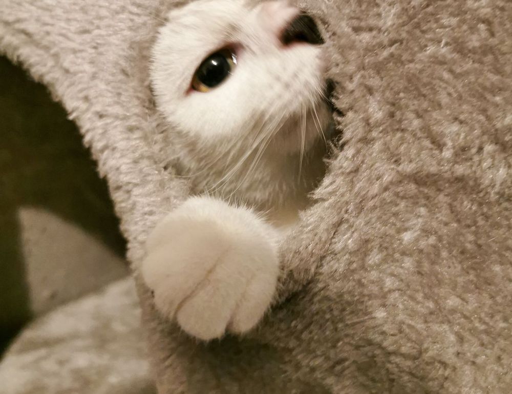 manual hearthssconsole