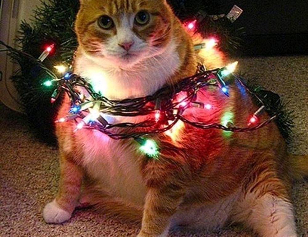 mobile update undergarcade