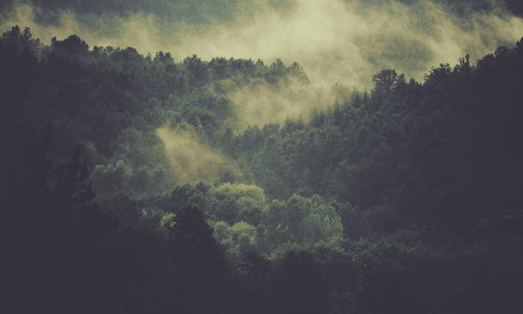 multiplayer tips togamesticky