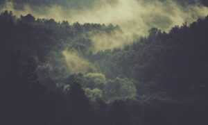 multiplayer tips togamesticky