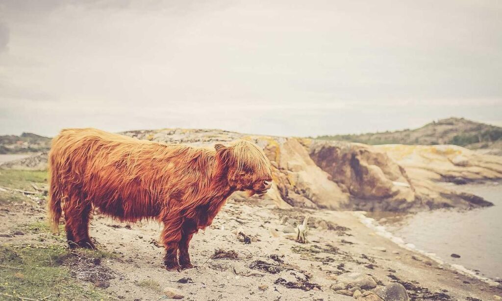 multiplayer tips togamesticky