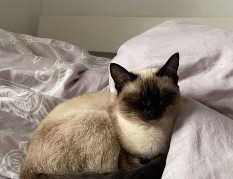 new gaming tech befitgametek