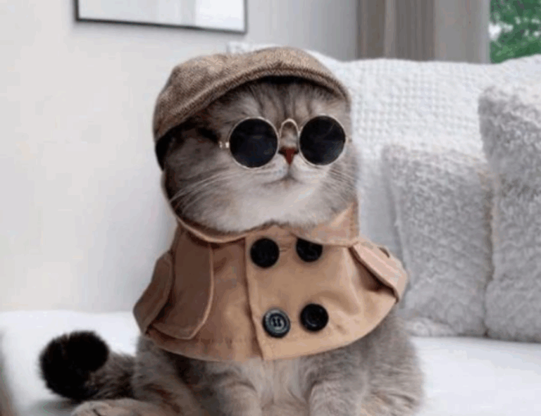 new updates gmrrmulator