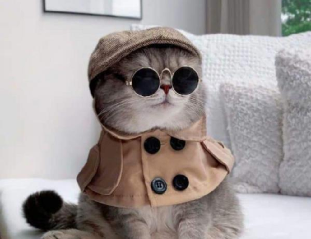 new updates gmrrmulator