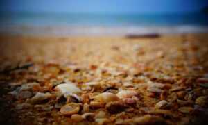 new version etsjavaapp