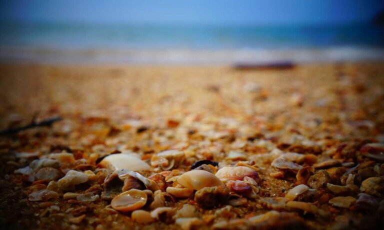 new version etsjavaapp