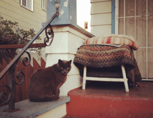 new version update etsjavaapp