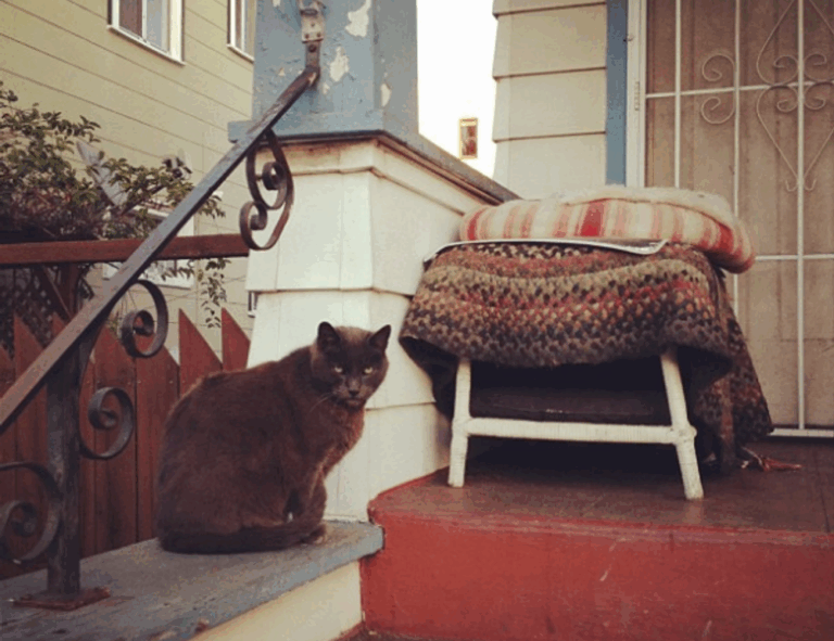 new version update etsjavaapp