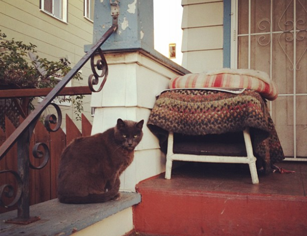 new version update etsjavaapp