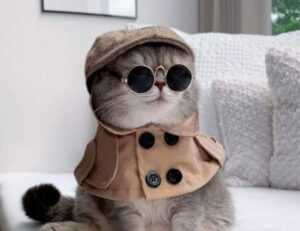 online game event pblgamevent